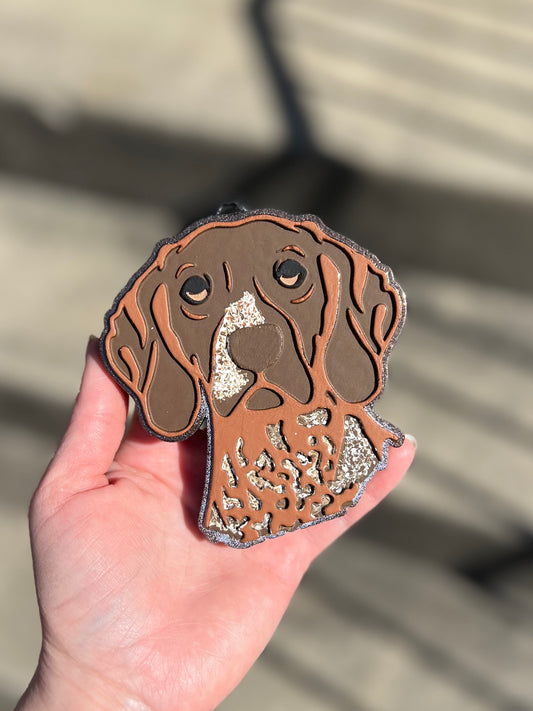 German Shorthaired Pointer