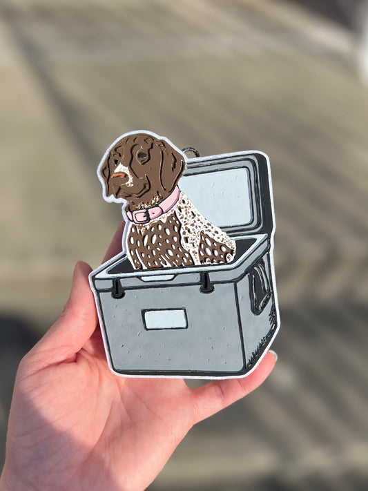 German Shorthaired Pointer in cooler